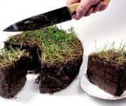 Земельные участки